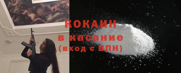 дживик Арсеньев