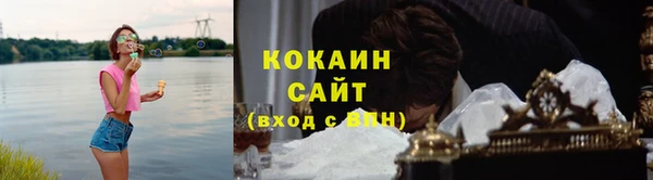 дживик Арсеньев