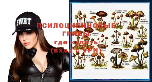 дживик Арсеньев