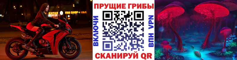 Галлюциногенные грибы прущие грибы kraken ССЫЛКА Олонец